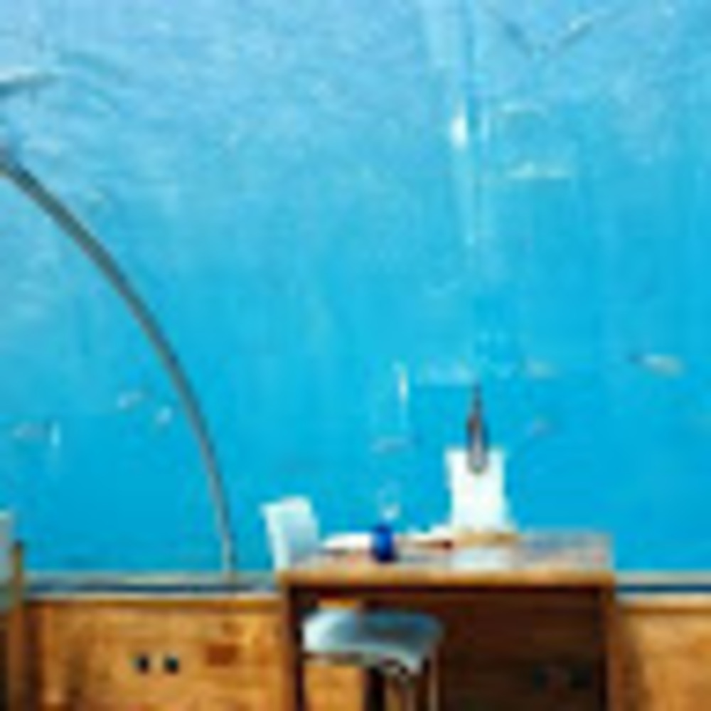 Meet your Posher, June shan